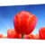 LS460UCM-EF
46’’ FHD Video Wall Display Unit