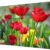 49-inch 3.5mm LCD Display Unit